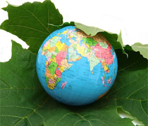 Estrategias sostenibles de gestión de plagas