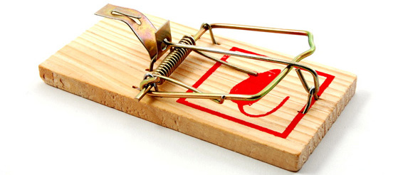 Servicios de desratización