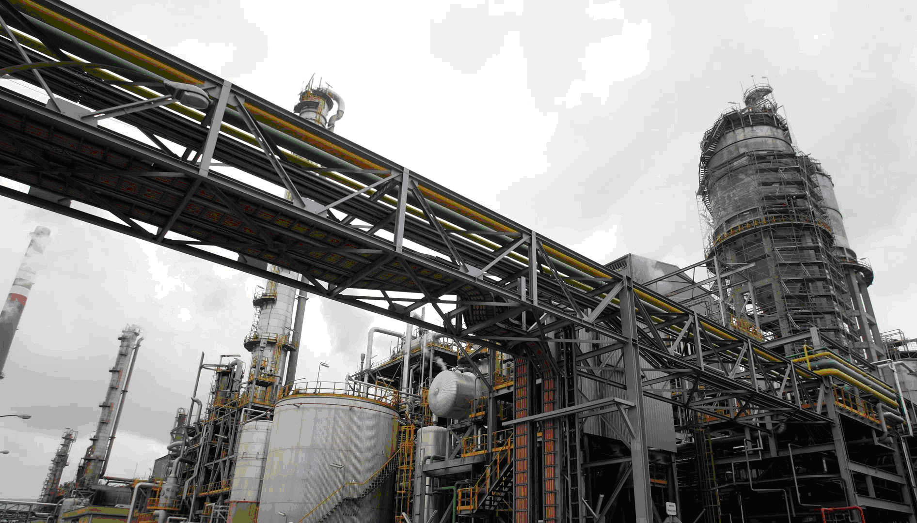 Servicios de control de plagas en Industria