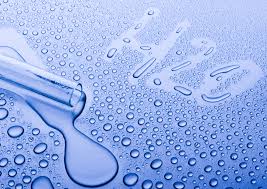 Control de plagas en Madrid