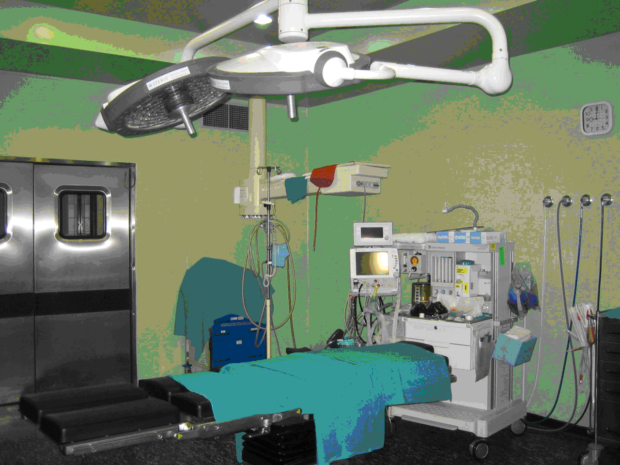 Servicios de control de plagas en Sanidad