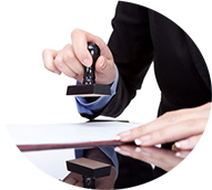 Control de plagas en Madrid