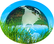 Control de plagas en Madrid