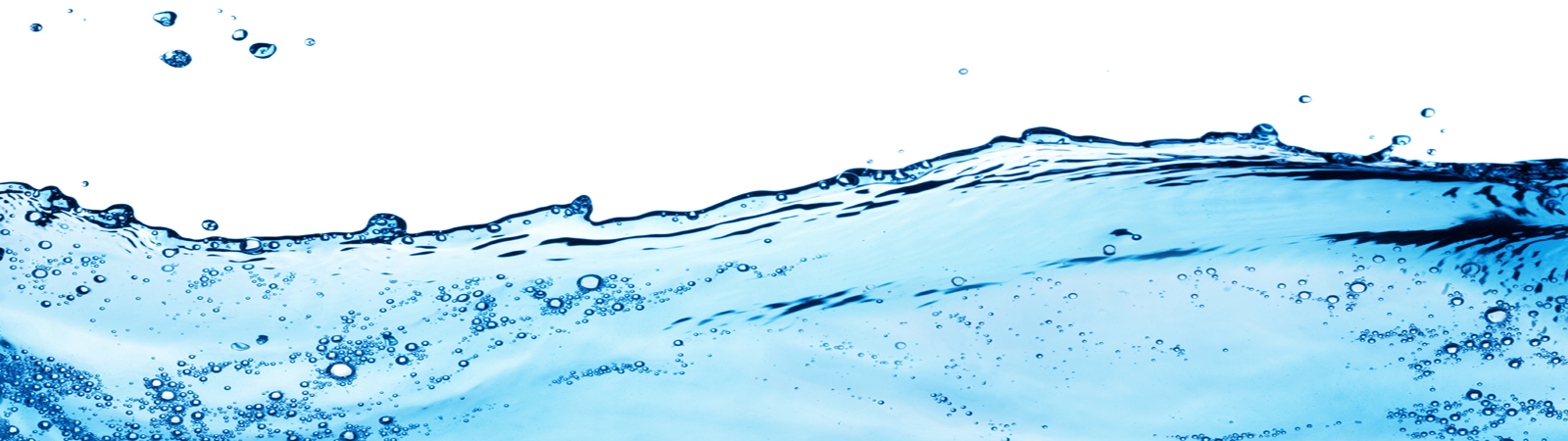 Control de plagas en Madrid