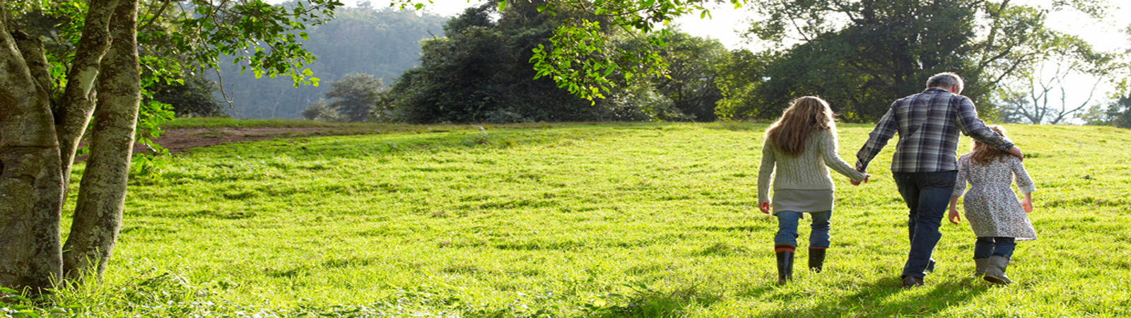 Control de plagas en Madrid